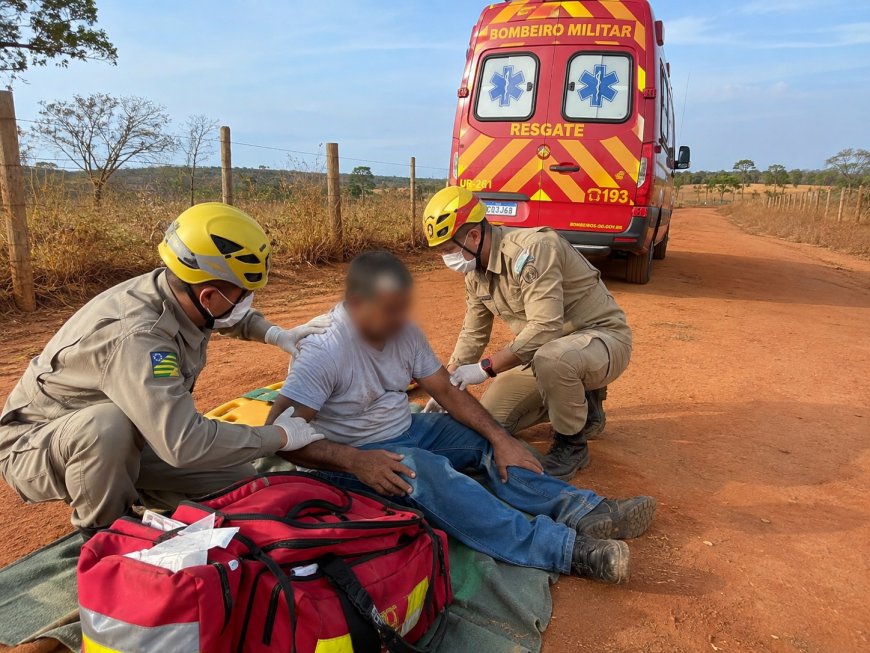 Homem com histórico de alergia é socorrido após sofrer mais de 100 picadas de abelhas na zona rural de Formosa