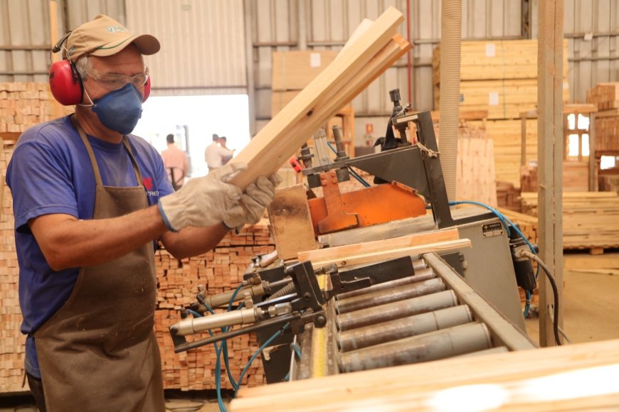 Goiás tem saldo de 3.780 empregos formais em junho