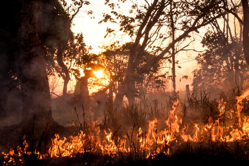 Governo de Goiás orienta população sobre prevenção a incêndios em áreas urbanas