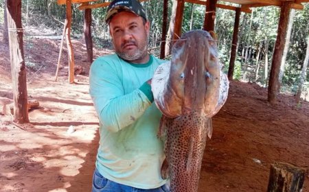 Gerente de fazenda morre após disparo acidental durante caça de javalis em Goiás