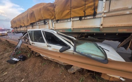 Fiat Uno fica prensado embaixo de caminhão na BR-060, em Goiás; ocupantes saem ilesos