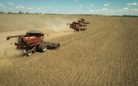 Goiás registra superávit de US$ 5,6 bilhões na balança comercial entre janeiro e agosto de 2026