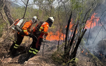 Incêndio atinge Parque Nacional da Chapada dos Veadeiros