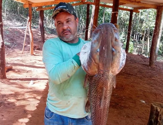 Gerente de fazenda morre após disparo acidental durante caça de javalis em Goiás