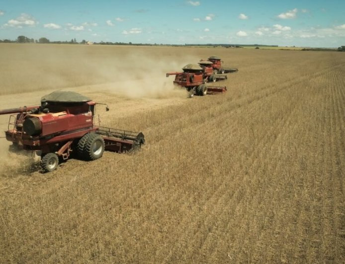 Goiás registra superávit de US$ 5,6 bilhões na balança comercial entre janeiro e agosto de 2026
