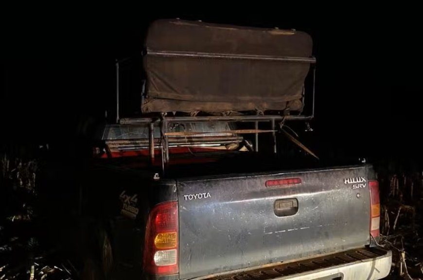 Gerente de fazenda morre após disparo acidental durante caça de javalis em Goiás