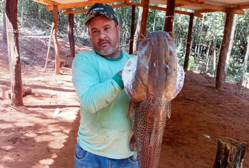 Gerente de fazenda morre após disparo acidental durante caça de javalis em Goiás