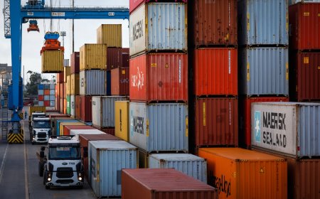 Exportações de carnes goianas crescem 16,9% e somam US$ 2,27 bilhões no acumulado de 2026