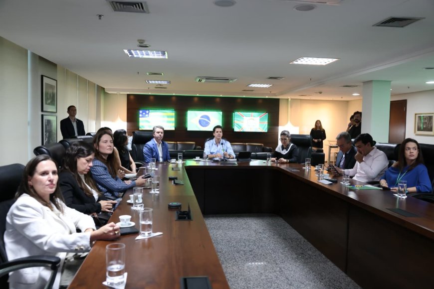 Daniel Vilela mobiliza prefeitos para conter avanço da dengue, zika e chikungunya em Goiás